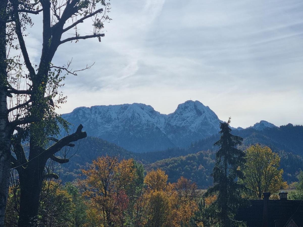 Karpielowka 77 Pokoje Goscinne Koscielisko Bagian luar foto